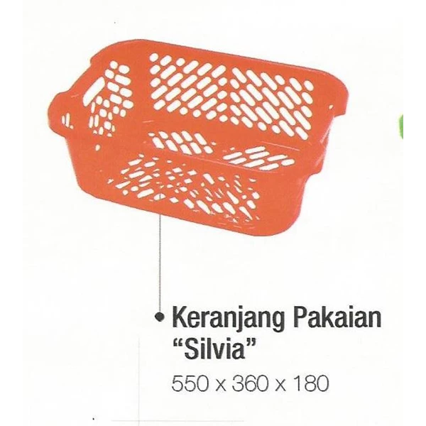 Basket of plastic clothing type silvia DS products 