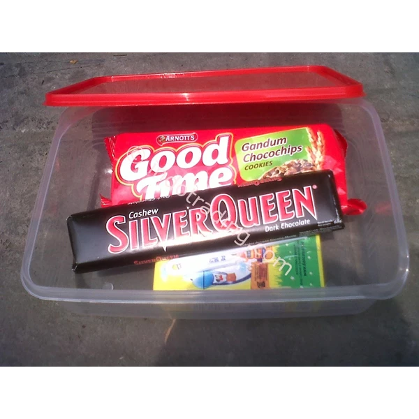Plastic Food Box Sw58