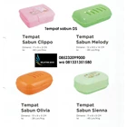 DS plastic soap dish 1
